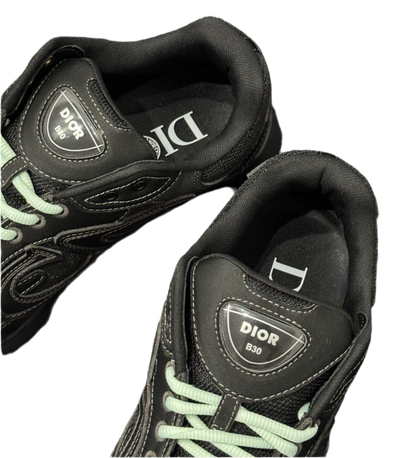 Dior x Stone Island B30