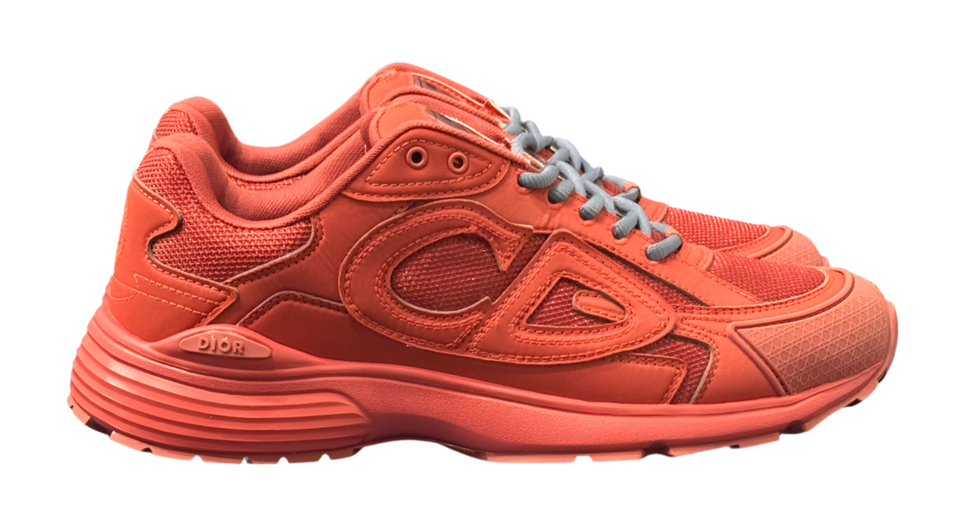 Dior x Stone Island B30