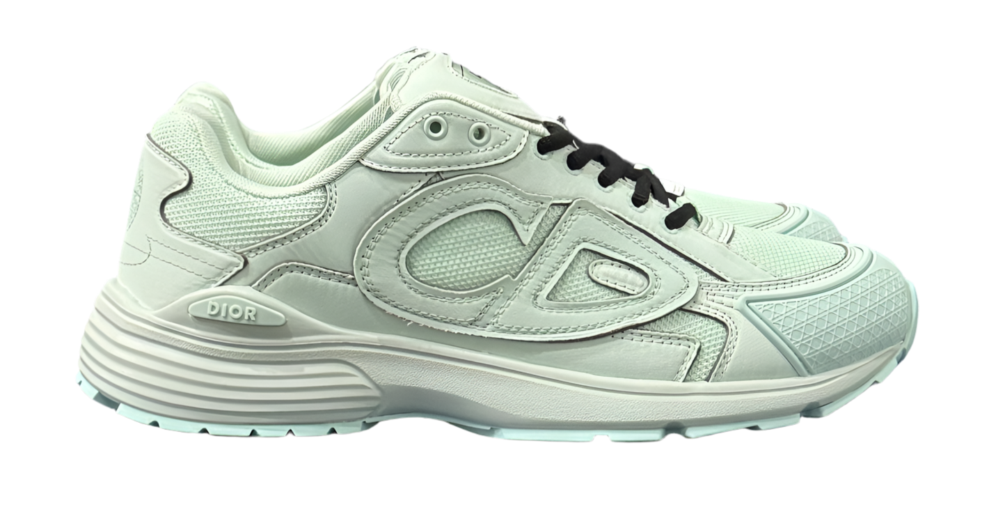 Dior x Stone Island B30