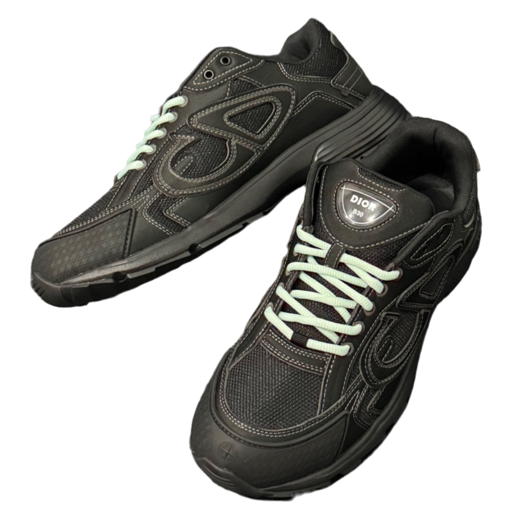 Dior x Stone Island B30